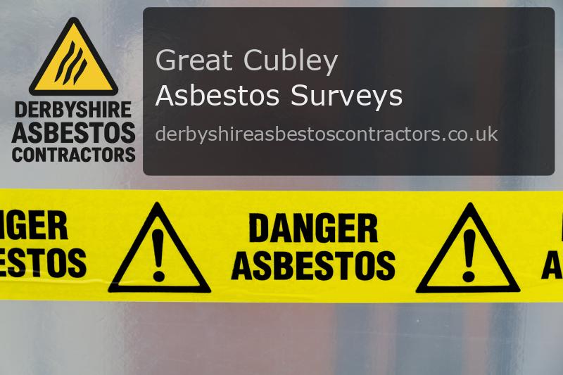 Asbestos Surveys