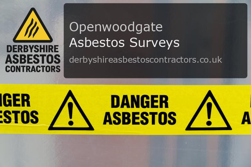 Asbestos Surveys