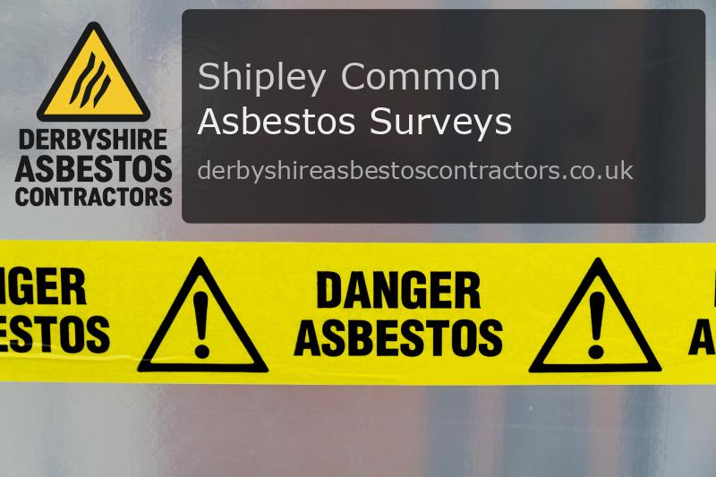 Asbestos Surveys