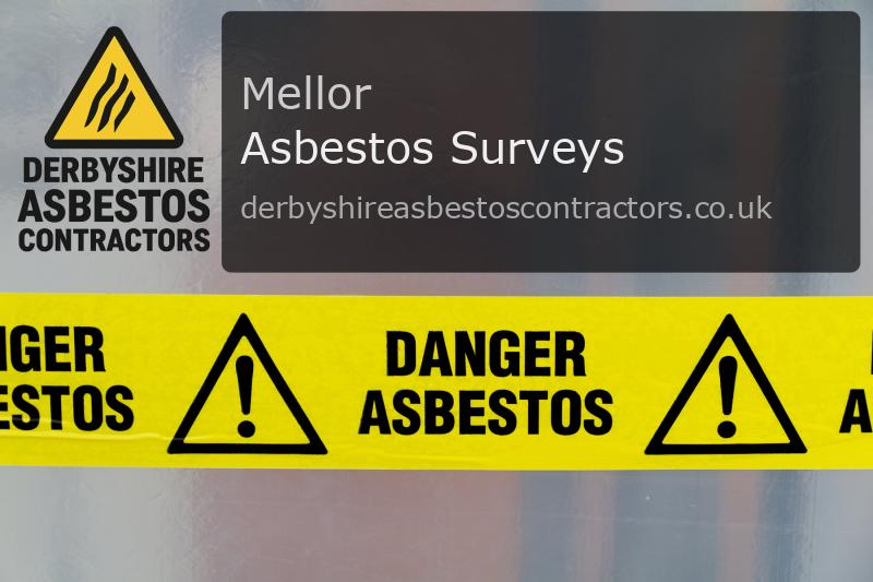 Asbestos Surveys