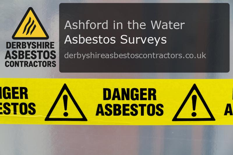 Asbestos Surveys