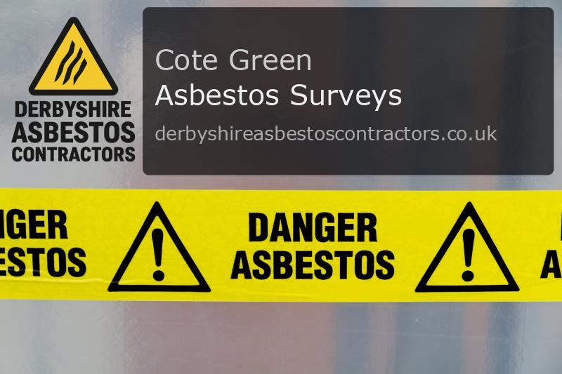 Asbestos Surveys